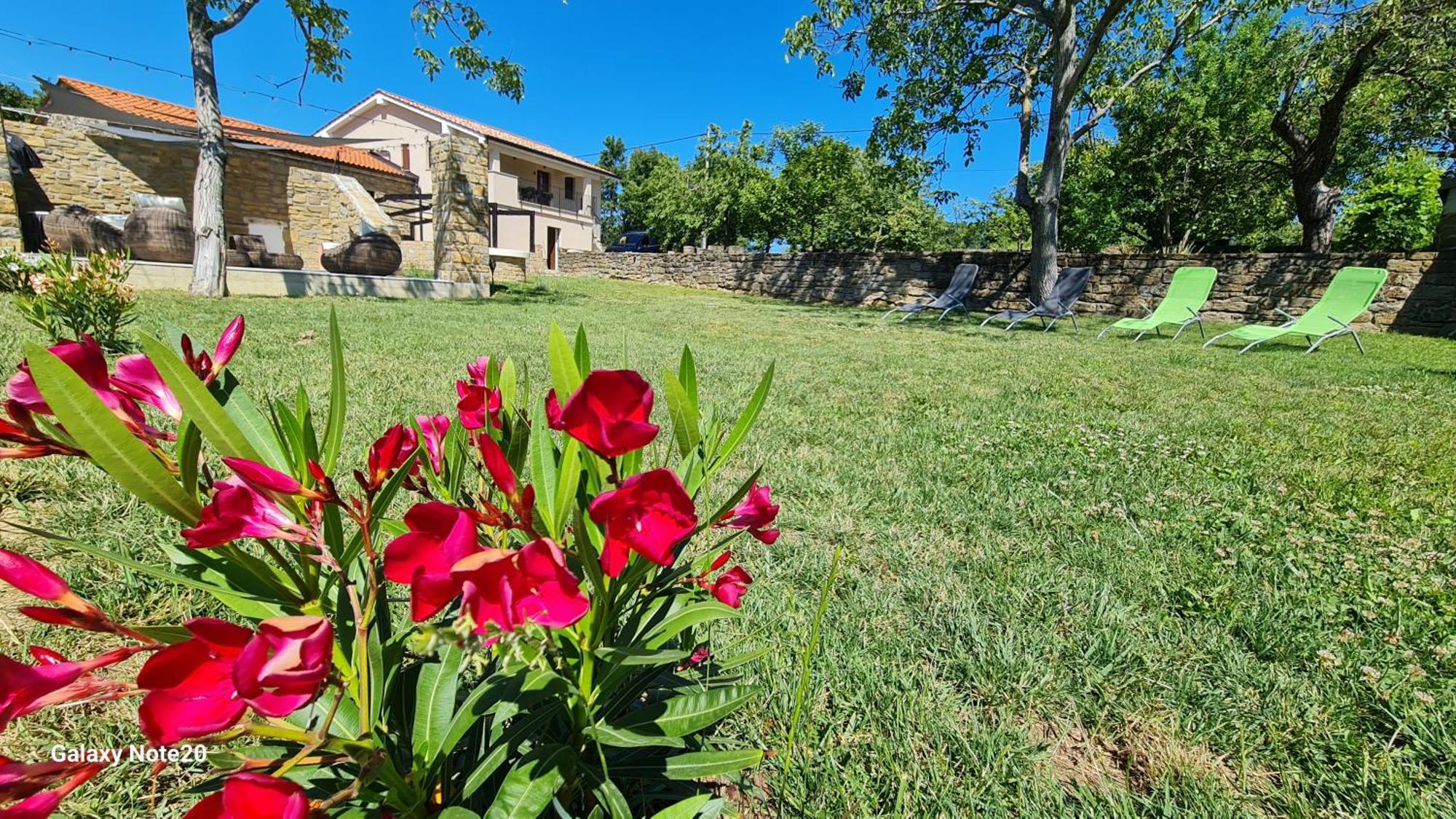 Hisa Kapis With Hot Tube Apartment Koper Exterior photo